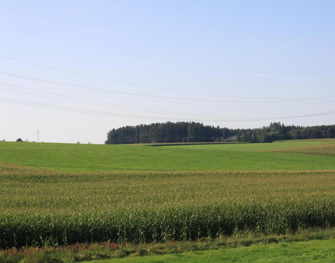Traubshof Apartment Ochsenhausen ภายนอก รูปภาพ