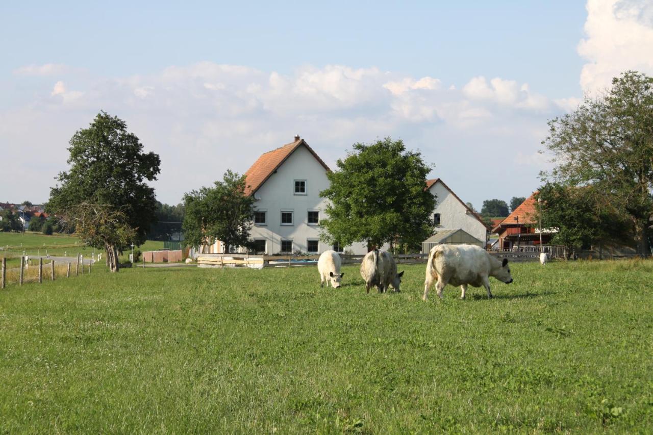 Traubshof Apartment Ochsenhausen ภายนอก รูปภาพ